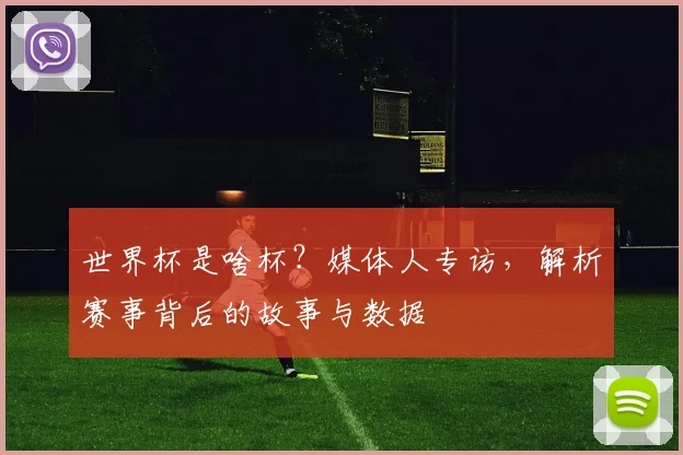 世界杯是啥杯？媒体人专访，解析赛事背后的故事与数据