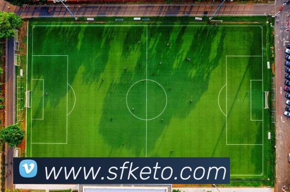 mksports官方网站平台生态图